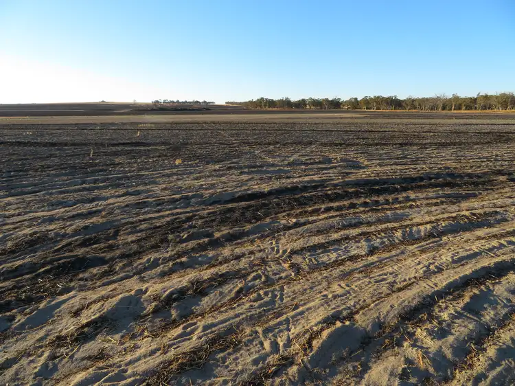 Fifth view of Homely rural property listing, LOT 7297 Warding Road, York WA 6302