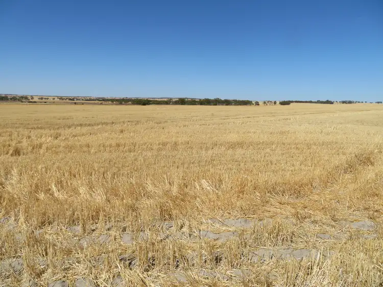 Seventh view of Homely rural property listing, LOT 7297 Warding Road, York WA 6302