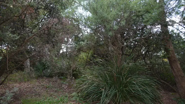 Third view of Homely land listing, 11 Richard Street, Bridport TAS 7262