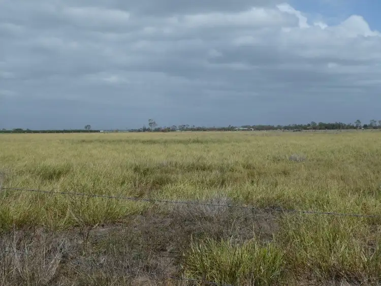 Second view of Homely rural property listing, 425 Three Chain Road, Calavos QLD 4670