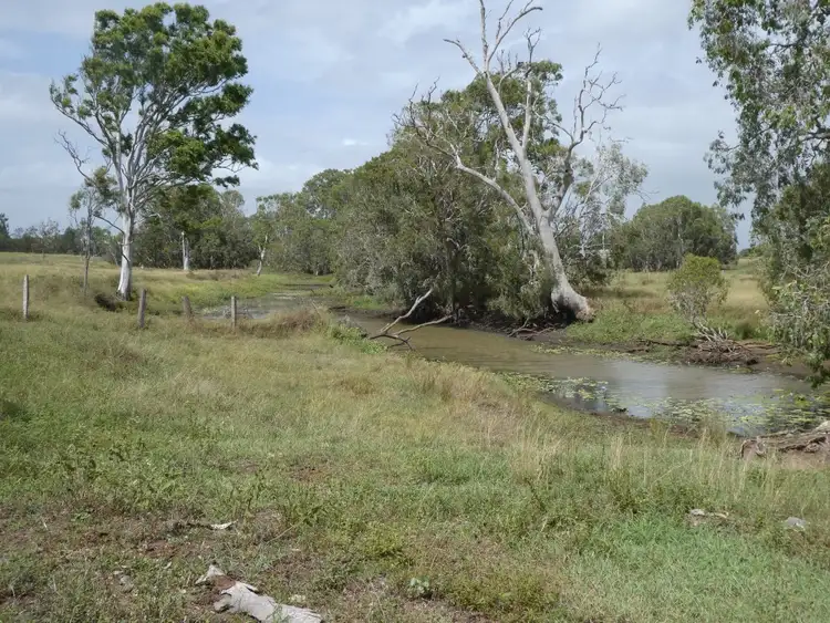 Third view of Homely rural property listing, 425 Three Chain Road, Calavos QLD 4670
