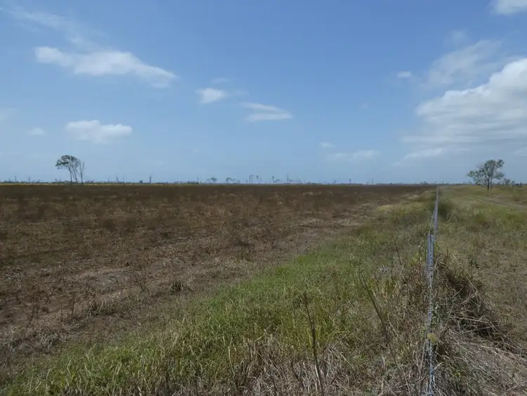 Fourth view of Homely rural property listing, 425 Three Chain Road, Calavos QLD 4670