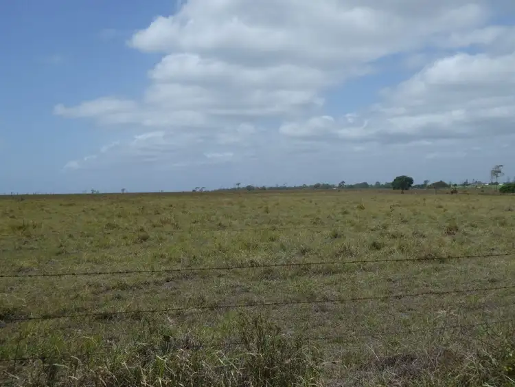 Fifth view of Homely rural property listing, 425 Three Chain Road, Calavos QLD 4670