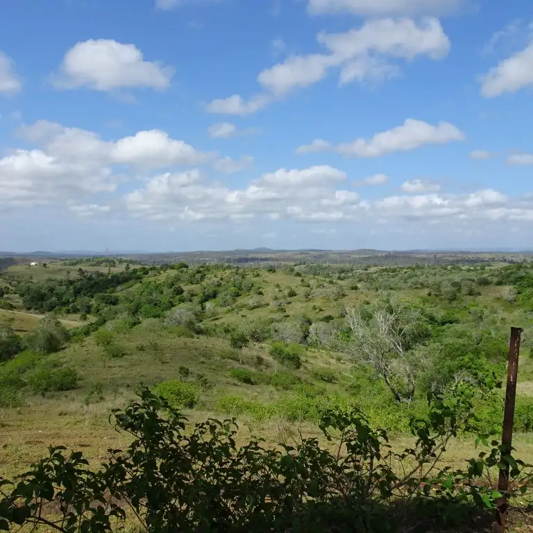 Main view of Homely house listing, 31659 Bruce Highway, Booyal QLD 4671