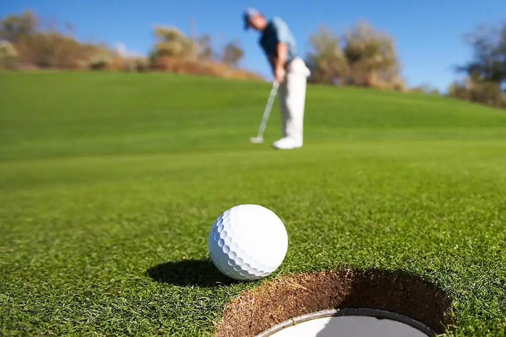 Main view of Homely house listing, 86 Fairway Drive, Sanctuary Point NSW 2540