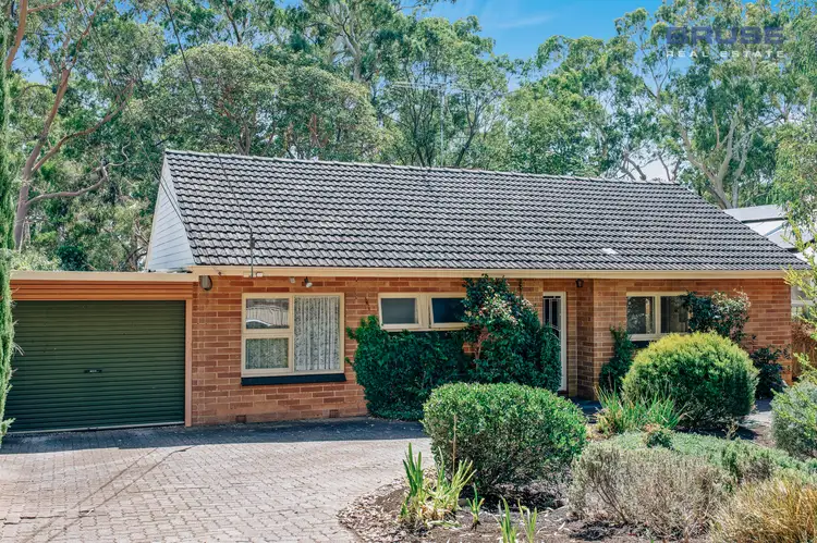 19 Sheila Street, Rostrevor SA 5073
