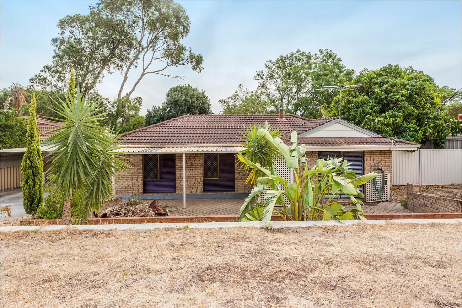 Main view of Homely house listing, 16 Willshire Way, Yangebup WA 6164