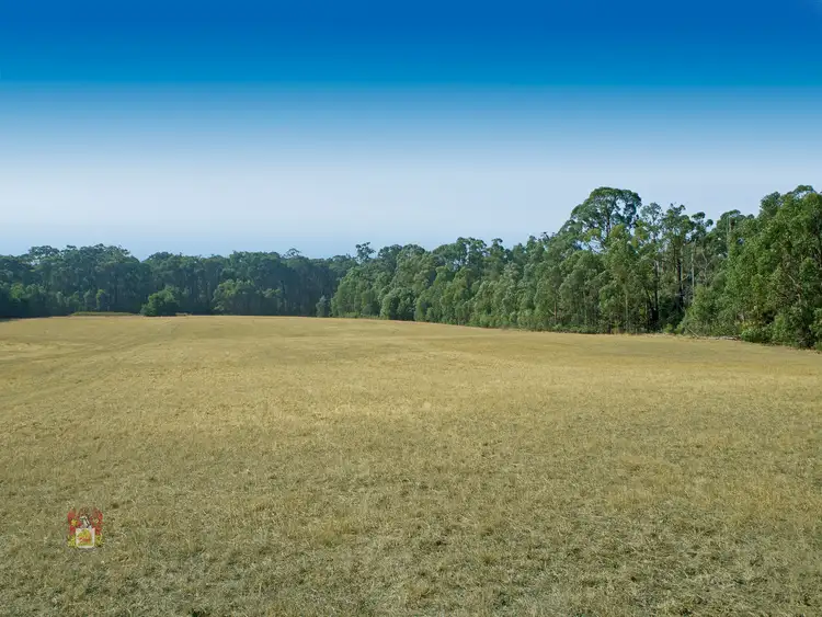 Third view of Homely land listing, 56 Amlyn Court, Kinglake West VIC 3757