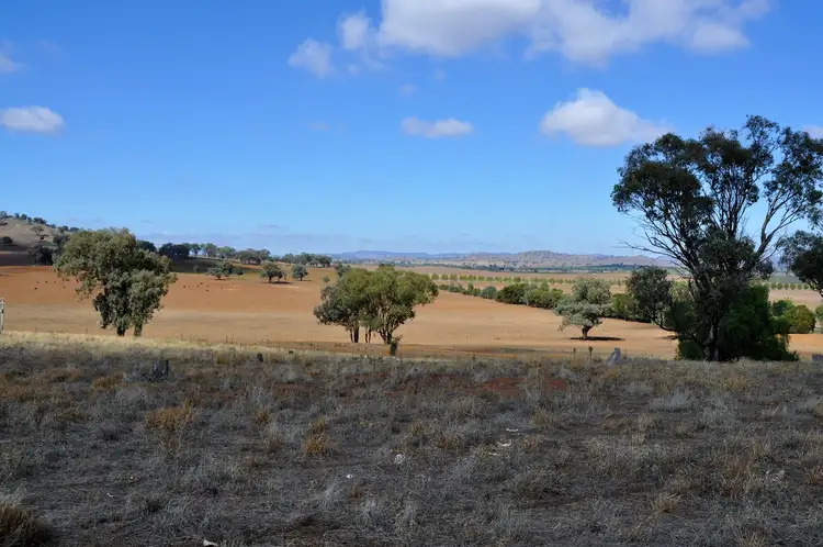 705 Springfield Lane & Castlereagh Hwy, Gulgong NSW 2852