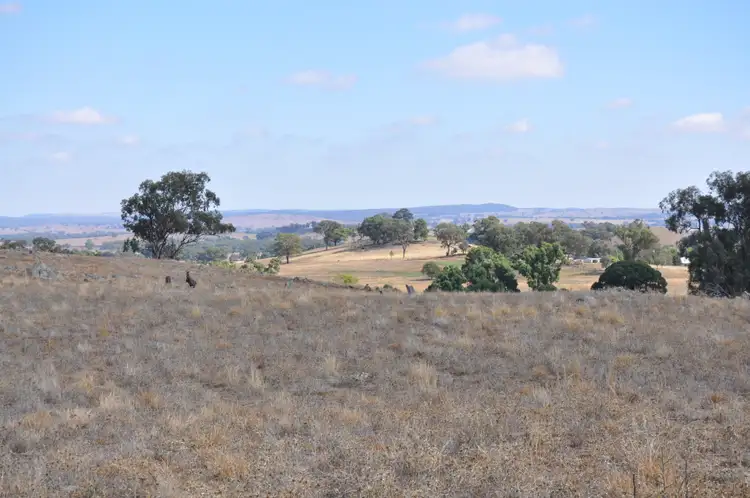 Second view of Homely rural property listing, 705 Springfield Lane & Castlereagh Hwy, Gulgong NSW 2852