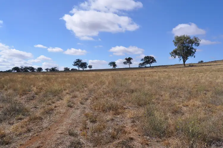 Third view of Homely rural property listing, 705 Springfield Lane & Castlereagh Hwy, Gulgong NSW 2852