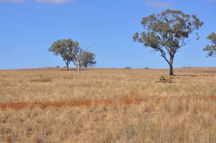 Fourth view of Homely rural property listing, 705 Springfield Lane & Castlereagh Hwy, Gulgong NSW 2852