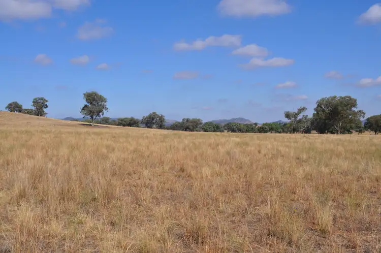 Fifth view of Homely rural property listing, 705 Springfield Lane & Castlereagh Hwy, Gulgong NSW 2852