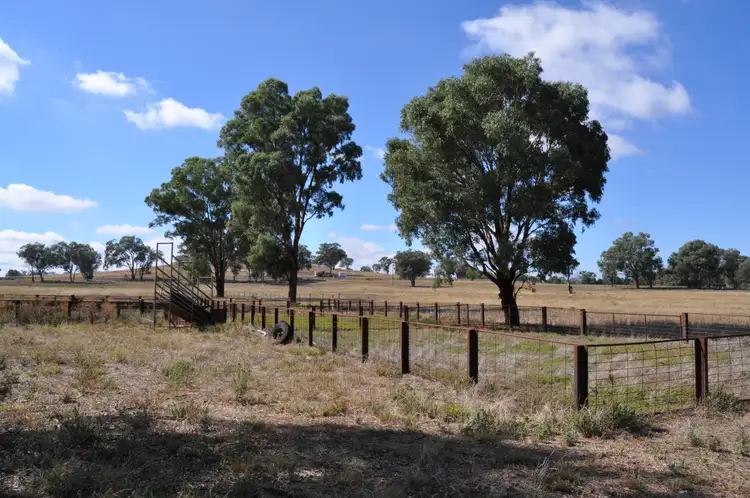 Seventh view of Homely rural property listing, 705 Springfield Lane & Castlereagh Hwy, Gulgong NSW 2852