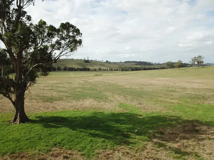 Main view of Homely rural property listing, 355 Hanleys Creek Road, Dungog NSW 2420