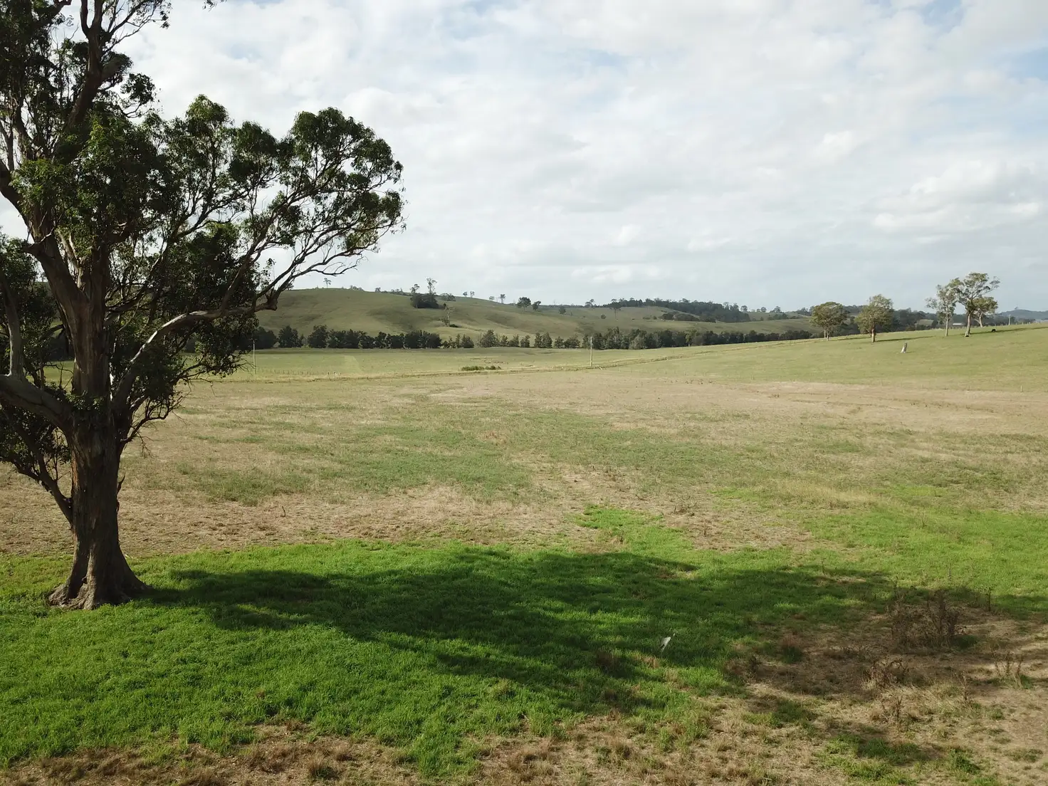 Main view of Homely rural property listing, 355 Hanleys Creek Road, Dungog NSW 2420