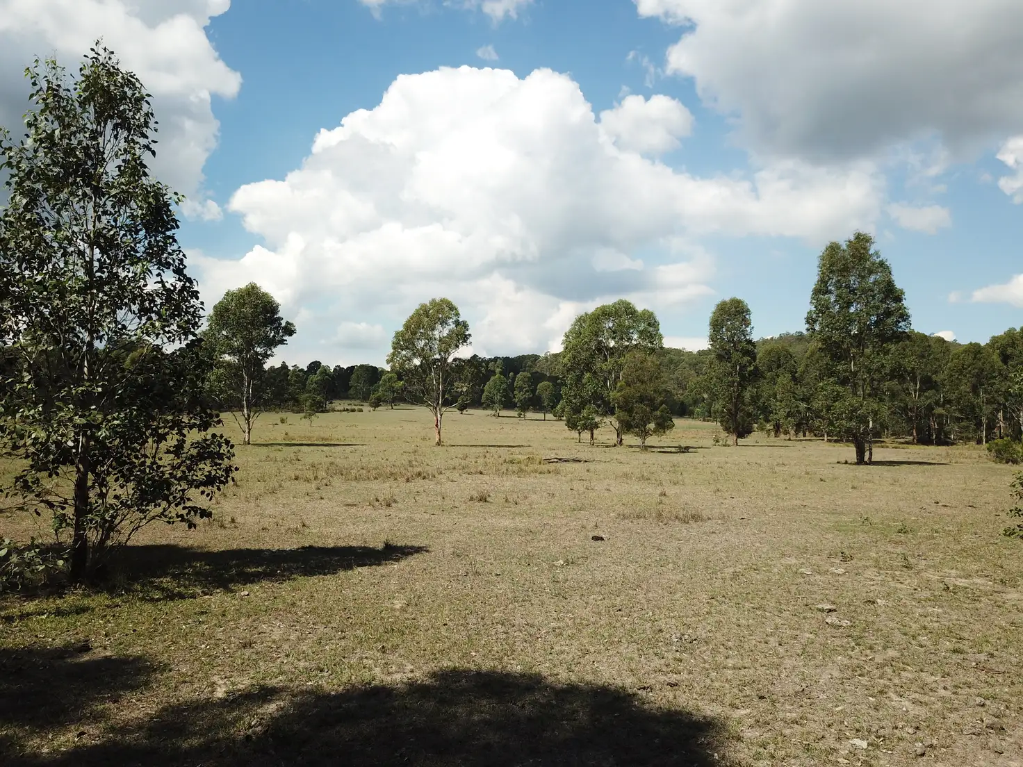 Main view of Homely rural property listing, 306 & 336 Blackcamp Road, Glen Martin Via, Clarence Town NSW 2321
