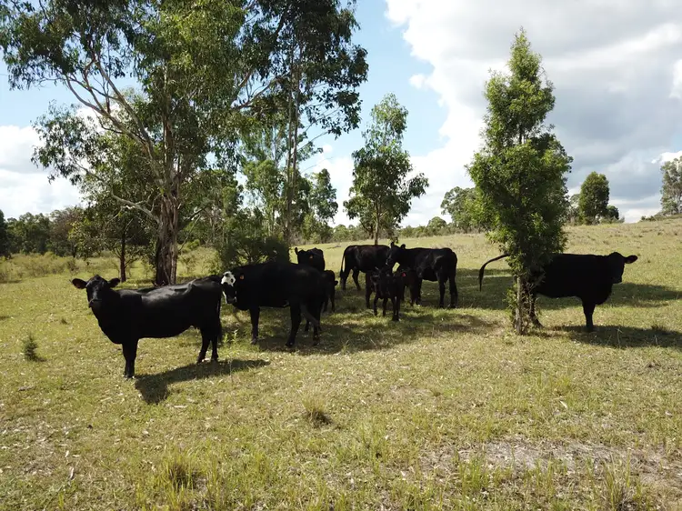 Fourth view of Homely rural property listing, 306 & 336 Blackcamp Road, Glen Martin Via, Clarence Town NSW 2321