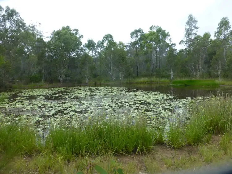 Fourth view of Homely rural property listing, 26 LARSENS ROAD, Isis Central QLD 4660