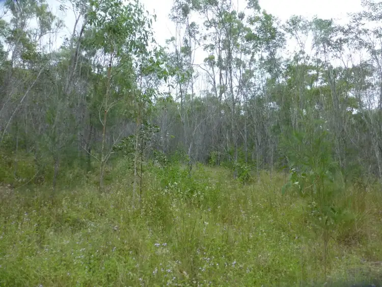 Sixth view of Homely rural property listing, 26 LARSENS ROAD, Isis Central QLD 4660