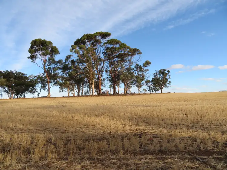 Main view of Homely rural property listing, LOT 10352 Cunderdin-Quairading Road, Cunderdin WA 6407