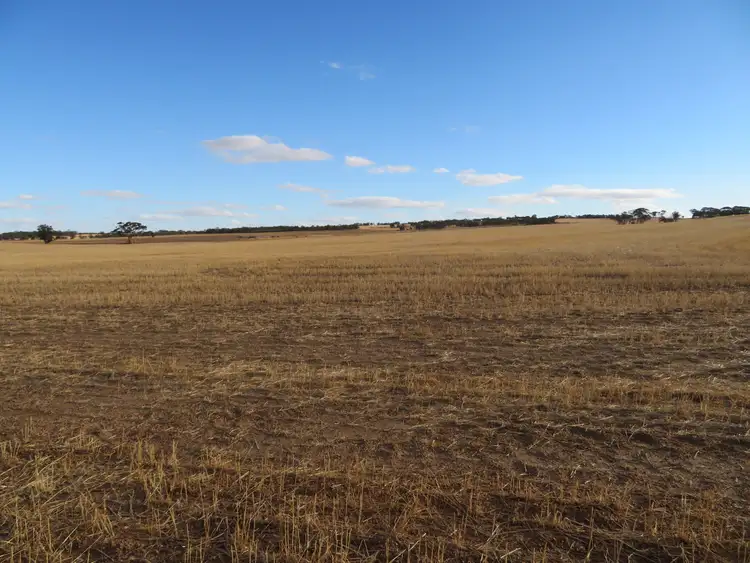 Second view of Homely rural property listing, LOT 10352 Cunderdin-Quairading Road, Cunderdin WA 6407