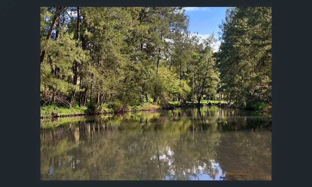 Main view of Homely rural property listing, 2578 Allyn River Road, ECCLESTON Via, East Gresford NSW 2311