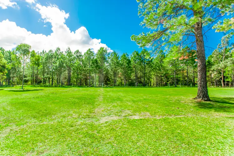 Third view of Homely house listing, 11 Greenslopes Drive, Raymond Terrace NSW 2324