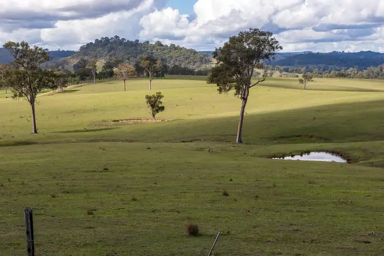 Second view of Homely rural property listing, 205 Hanleys Creek Road, Dungog NSW 2420