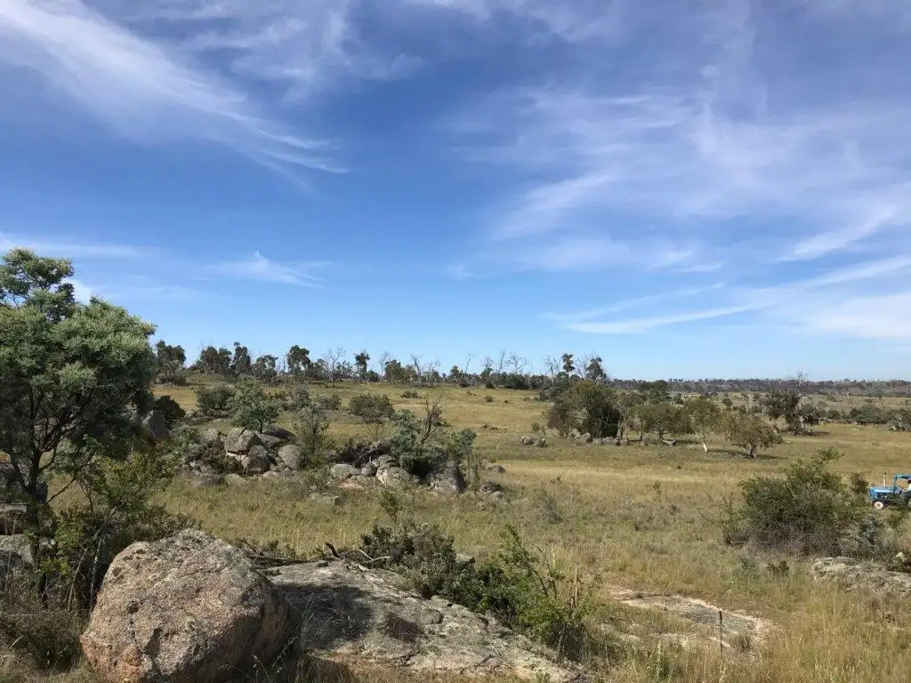 Main view of Homely rural property listing, 427 Dalgety Road, Berridale NSW 2628
