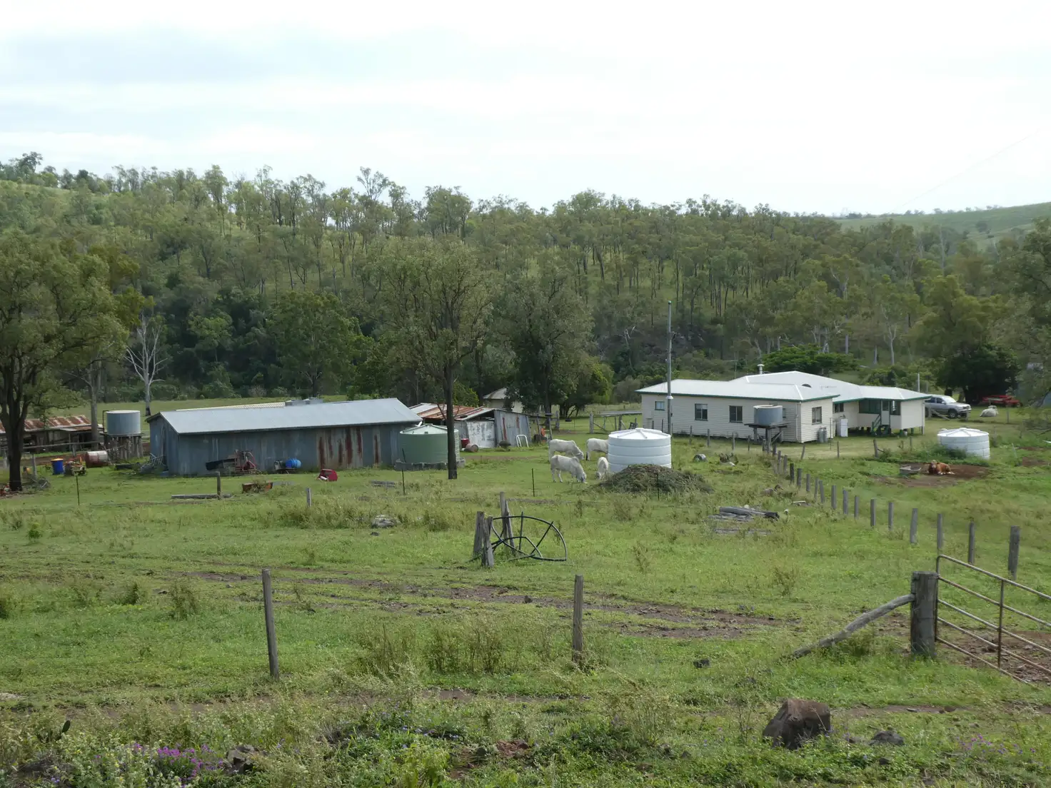 Main view of Homely rural property listing, Address available on request