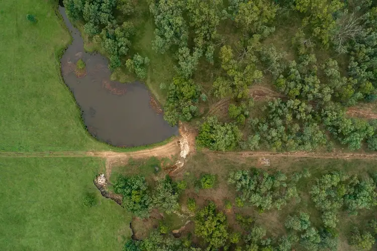 Seventh view of Homely house listing, 146 Station Lane, Lochinvar NSW 2321