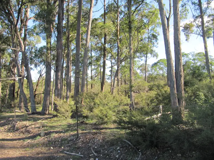 Second view of Homely rural property listing, LOT 1 Blues Road, Stockdale VIC 3862