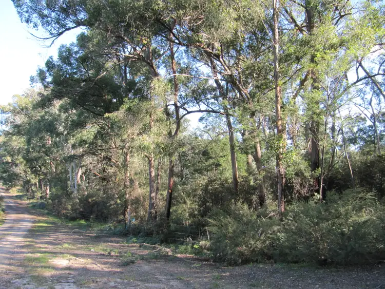 Third view of Homely rural property listing, LOT 1 Blues Road, Stockdale VIC 3862