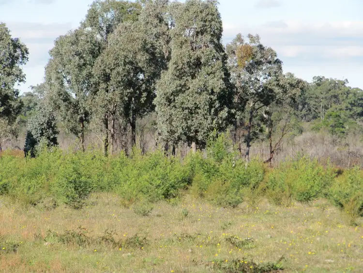 Fifth view of Homely rural property listing, LOT 1 Blues Road, Stockdale VIC 3862