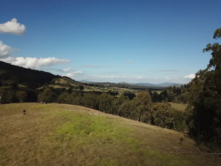 Main view of Homely rural property listing, 262 Dog Trap Creek Road, Gresford NSW 2311