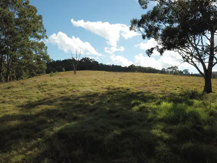 Fourth view of Homely rural property listing, 262 Dog Trap Creek Road, Gresford NSW 2311