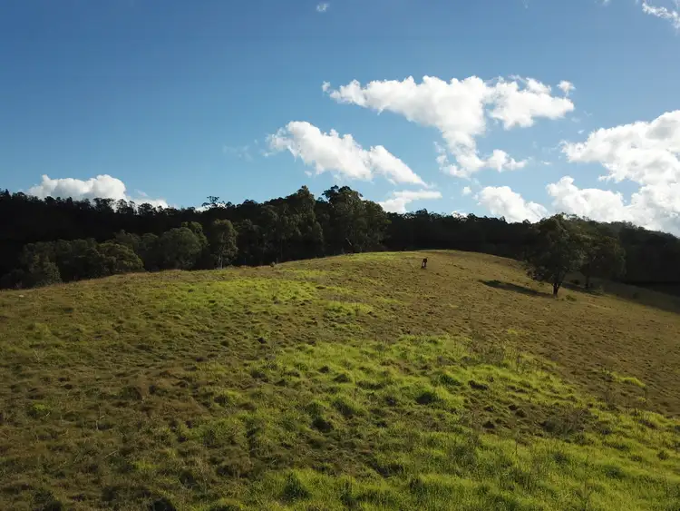 Fifth view of Homely rural property listing, 262 Dog Trap Creek Road, Gresford NSW 2311