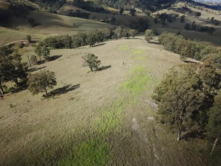 Sixth view of Homely rural property listing, 262 Dog Trap Creek Road, Gresford NSW 2311