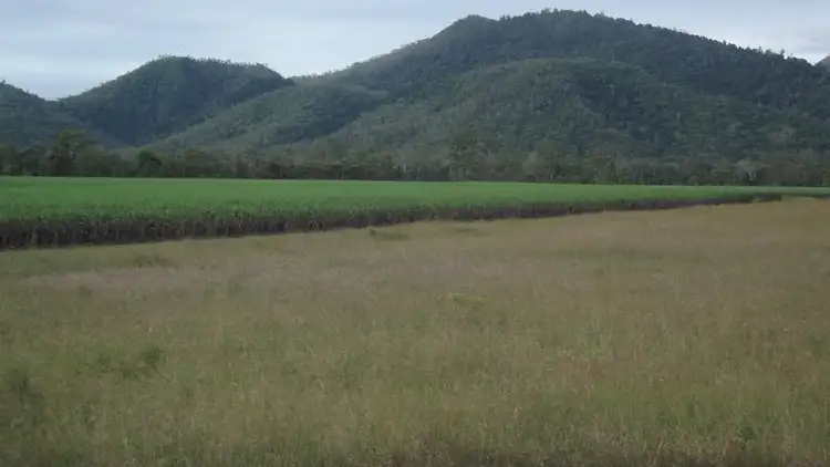 Second view of Homely rural property listing, Various Lots Pinevale Road, Pinevale QLD 4754