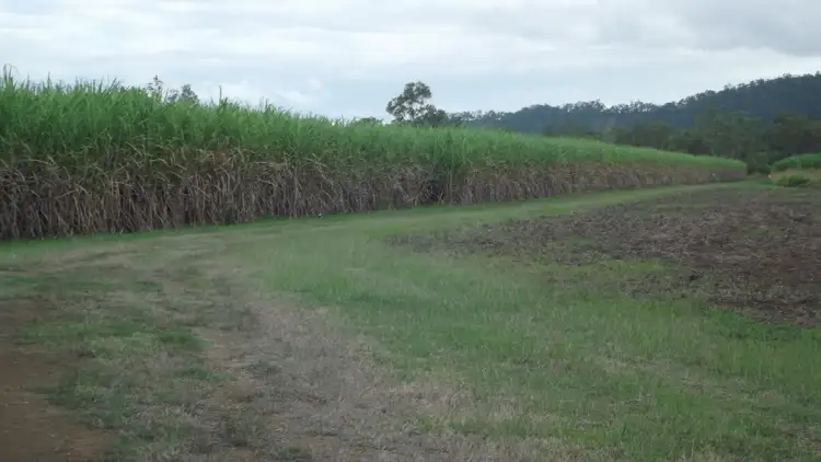 Sixth view of Homely rural property listing, Various Lots Pinevale Road, Pinevale QLD 4754