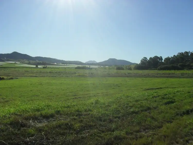 Seventh view of Homely rural property listing, L1 & 12 Nebia-Conningsby Road, Farleigh QLD 4741