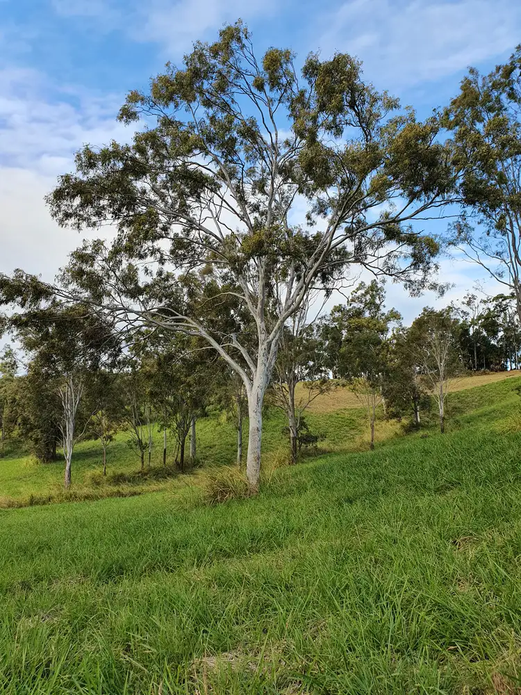 Third view of Homely land listing, Lot 15 Coleshill Drive, Alligator Creek QLD 4740