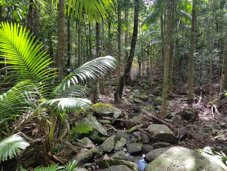 Seventh view of Homely rural property listing, Lot 42 Pyms Road, Hampden QLD 4741