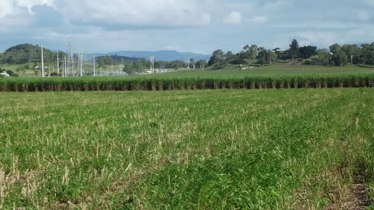 Fourth view of Homely rural property listing, Lots 6, 7 & 13 Mackay-Eungella Road, Pleystowe QLD 4741
