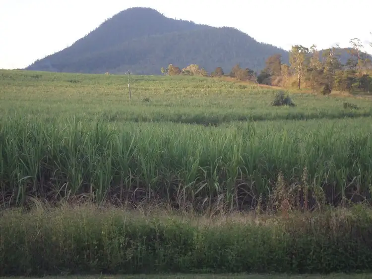 Seventh view of Homely rural property listing, Address available on request