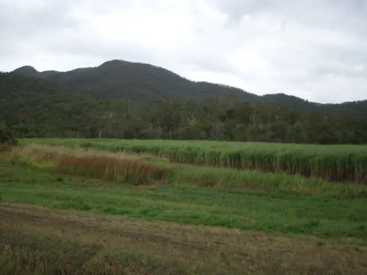 Third view of Homely rural property listing, Bagley Creek Road, Oakenden QLD 4741
