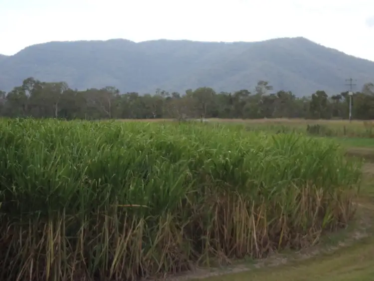 Fourth view of Homely rural property listing, Bagley Creek Road, Oakenden QLD 4741