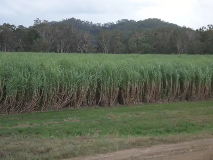 Fifth view of Homely rural property listing, Bagley Creek Road, Oakenden QLD 4741