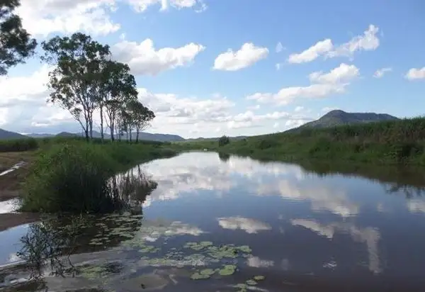 Main view of Homely rural property listing, Allans Road, Mount Martin QLD 4754